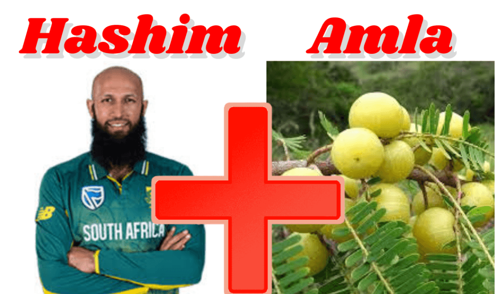 Top 25 Funniest Cricket Player Names - Makes You Laugh! hashim amla